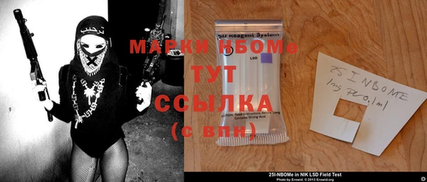 гидра Абаза