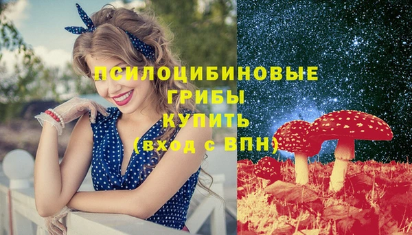 гидра Абаза