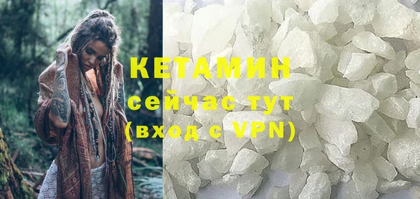 гидра Абаза